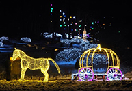 아침고요수목원 오색별빛정원전.jpg